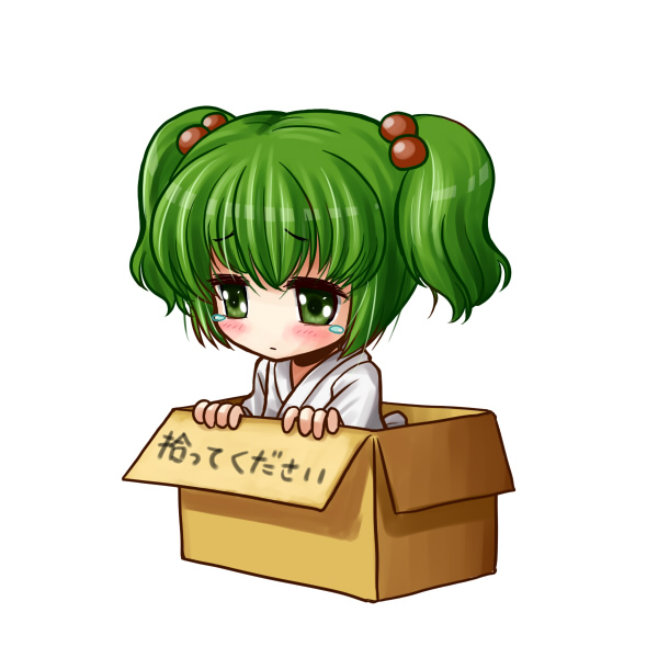 cardboard_box, for_adoption, girl_in_a_box, green_eyes, green_hair, hair_bobbles, hair_ornament, in_box