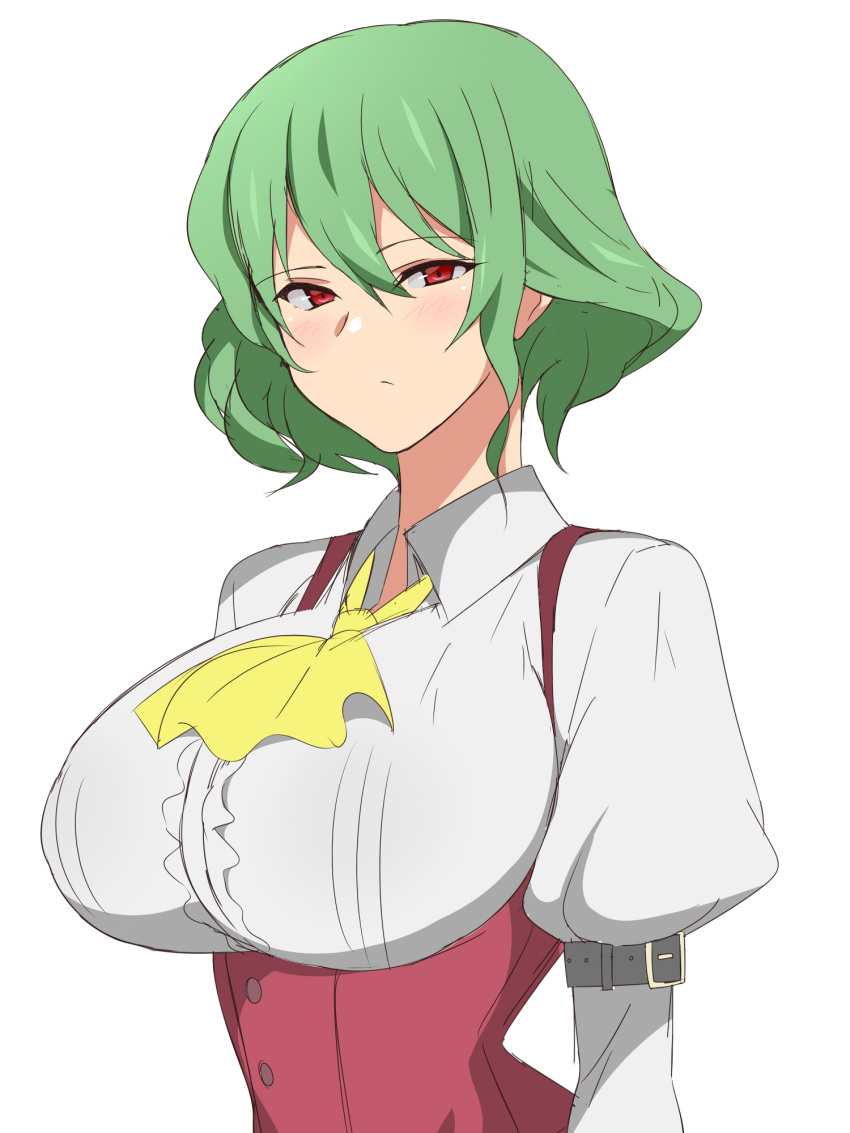 1girl, ascot, breasts, green_hair, highres, kagemusha, kazami_yuuka, large_breasts