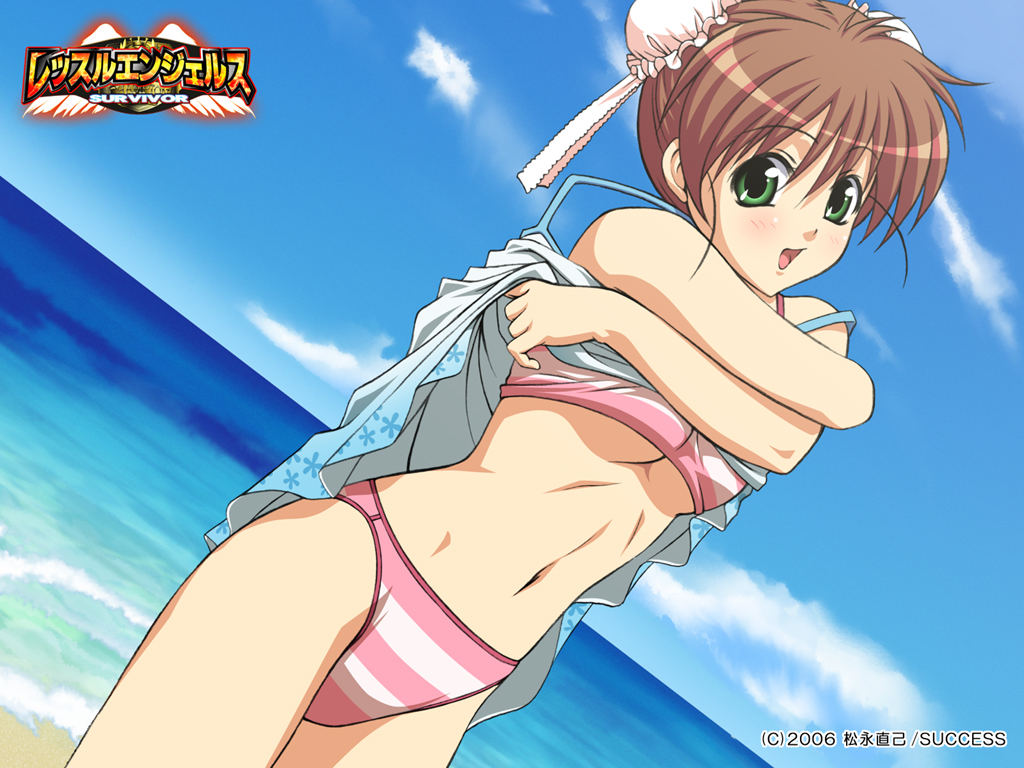 bikini, blush, breasts, brown_hair, bun_cover, cloud, crossed_arms, double_bun