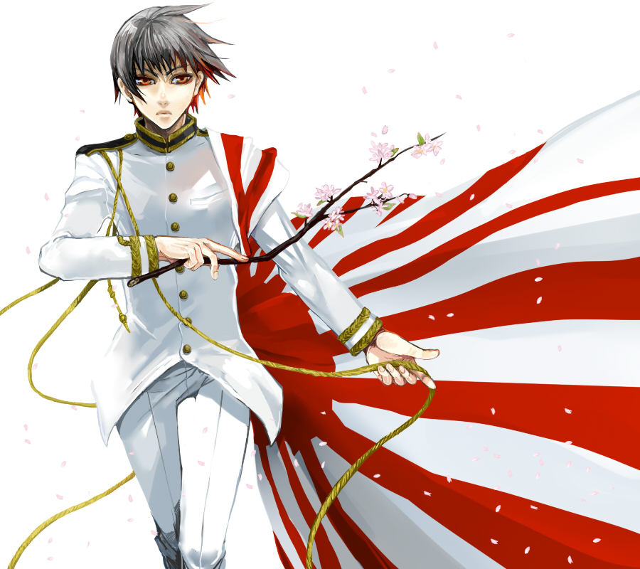 aiguillette, axis_powers_hetalia, black_hair, branch, brown_eyes, cherry_blossoms, flag, japan