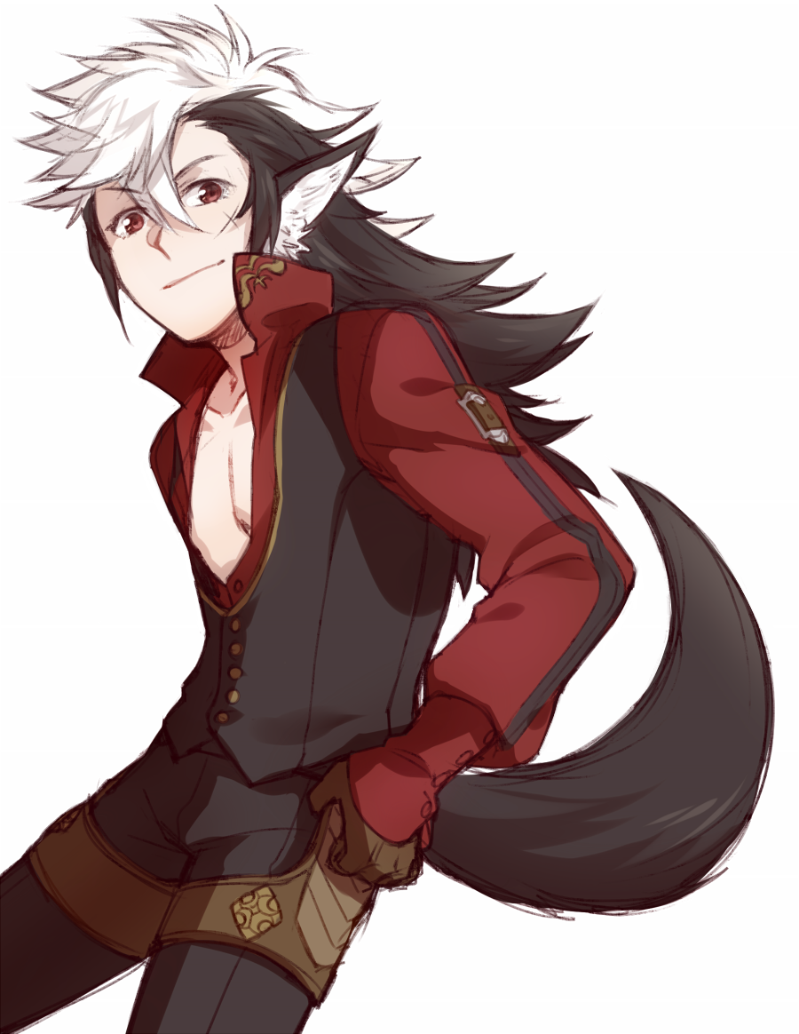 1boy, animal_ears, black_hair, craneace, fire_emblem, fire_emblem_if, flannel_(fire_emblem_if), long_hair