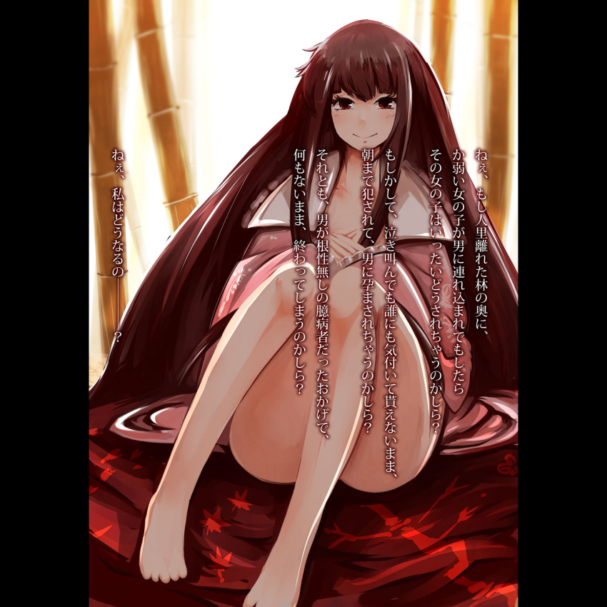 1girl, brown_hair, highres, houraisan_kaguya, kasuteru, knees_up, long_hair, looking_at_viewer