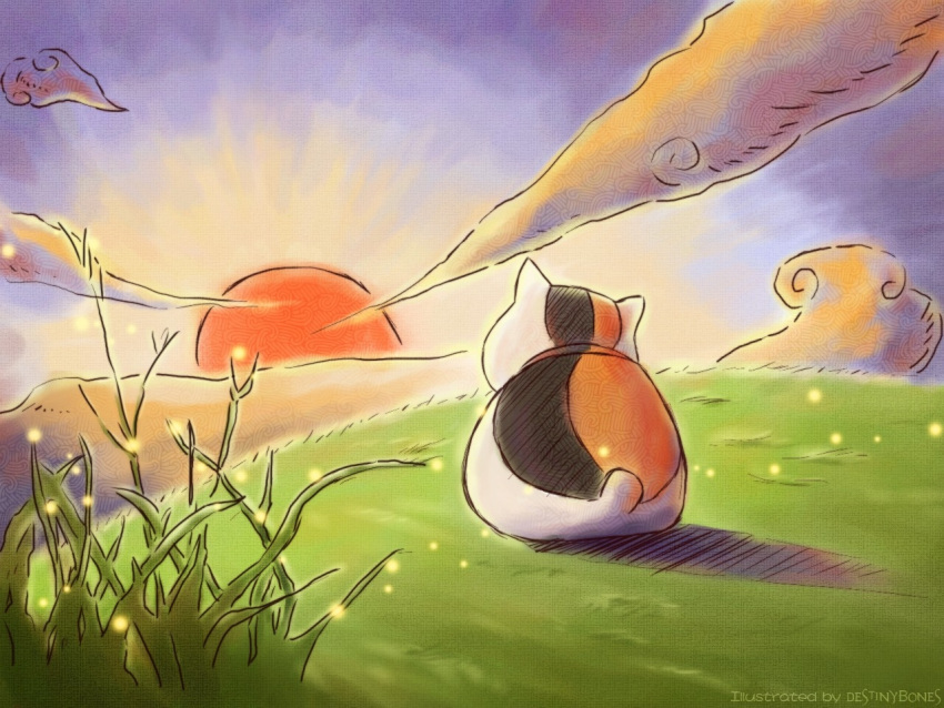 cat, firefly, madara, natsume_yuujinchou, sunset