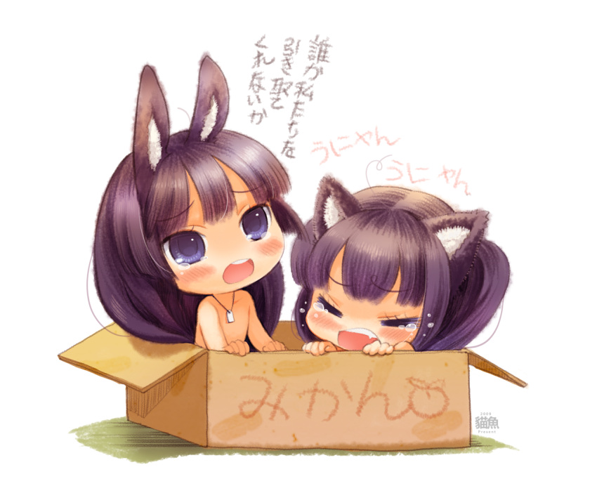 akiyama_mio, animal_ears, black_hair, blue_eyes, blush, box, bunny_ears, cat_ears
