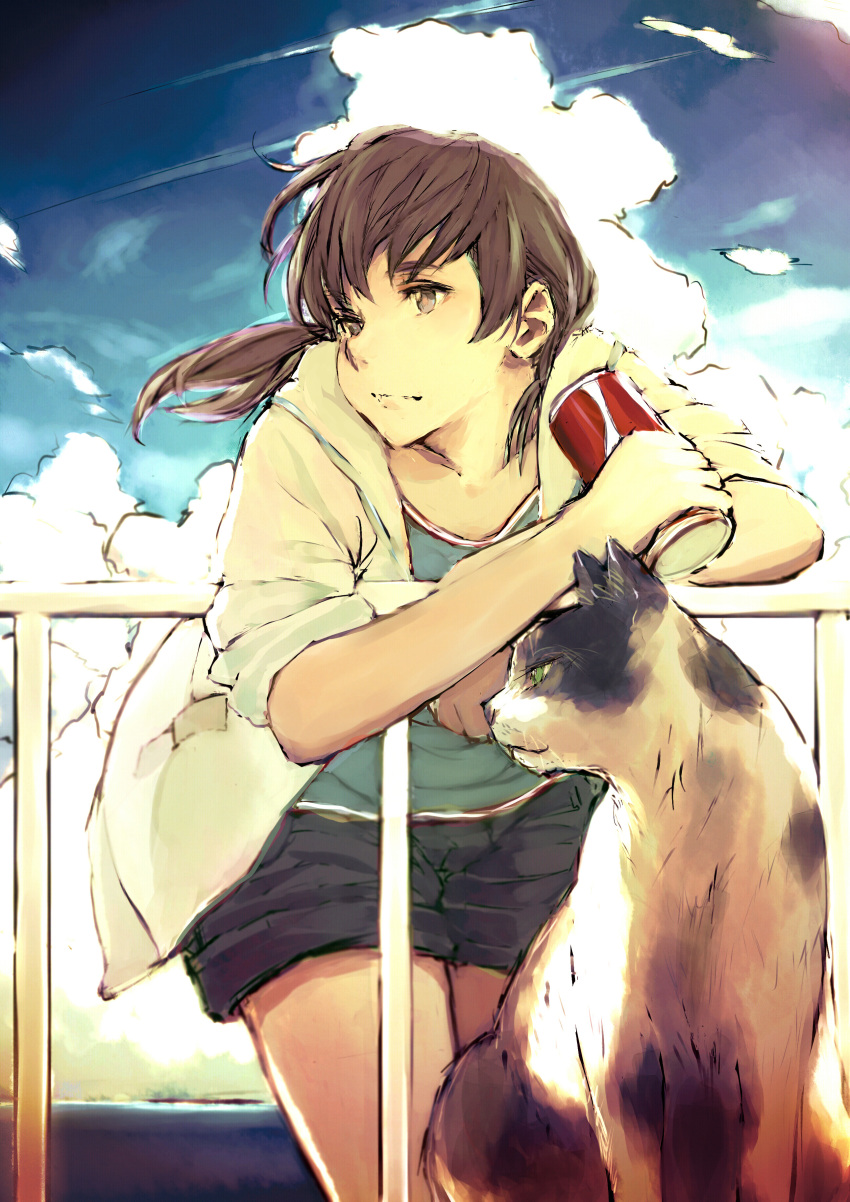 1girl, absurdres, bird, cat, clouds, highres, leaning, original