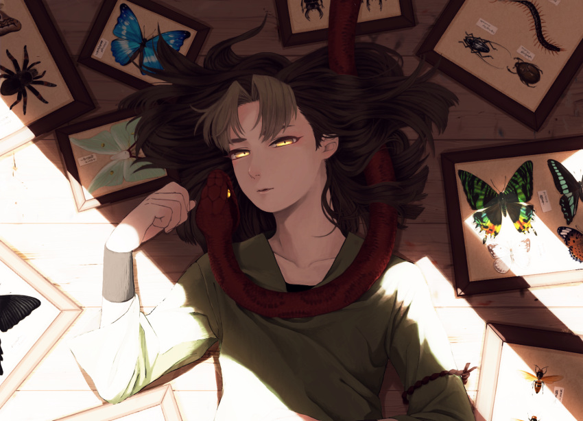 1boy, animal, animal_around_neck, bangs, bee, beetle, black_hair, bug