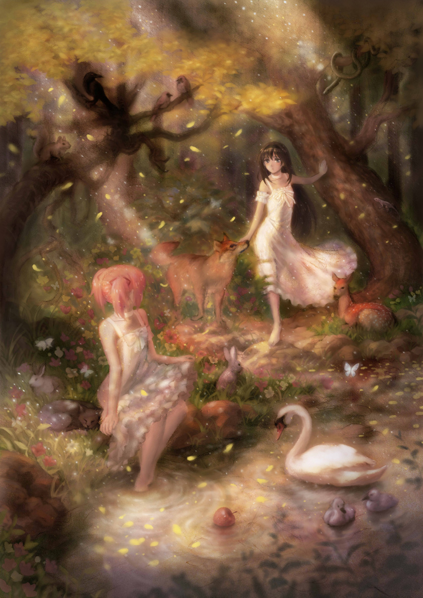 2girls, akemi_homura, animal, apple, bird, black_hair, butterfly, cat