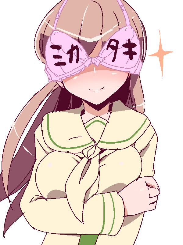 1girl, bra, bra_on_head, bra_over_eyes, breasts, brown_hair, clothes_writing, female_pervert