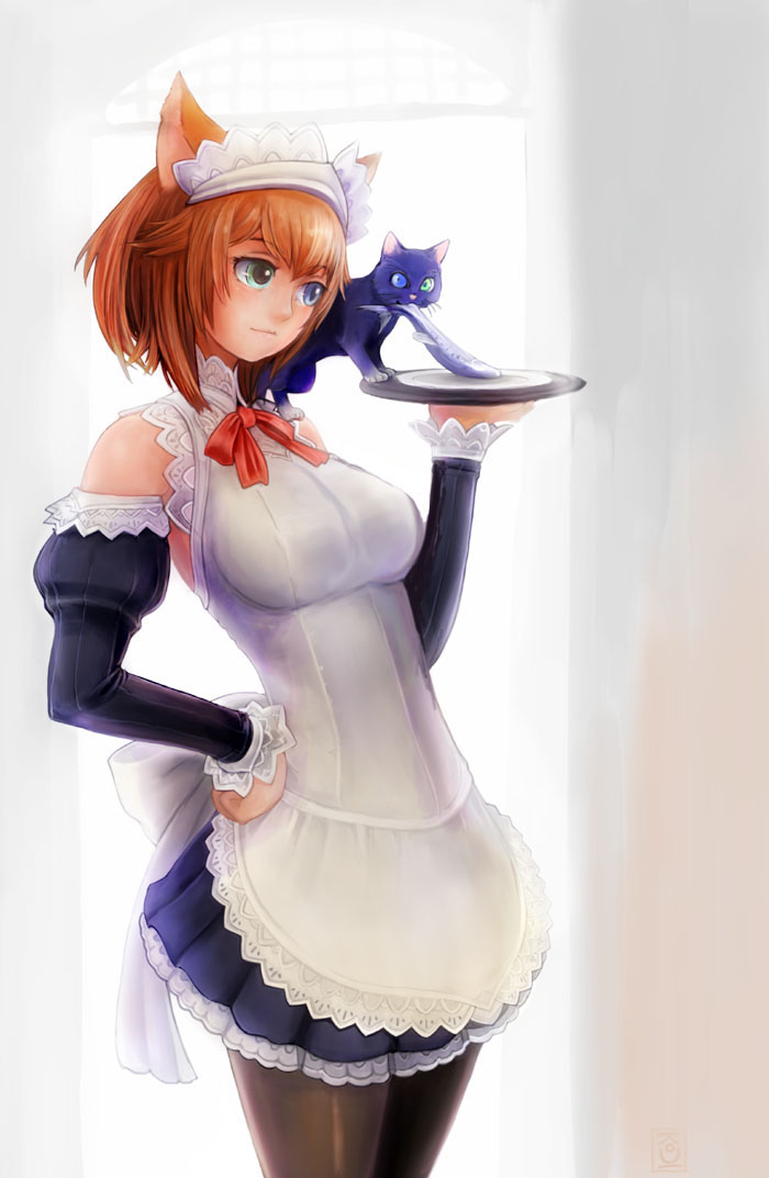 cat, cat_ears, fish, heterochromia, ikara, maid, pantyhose