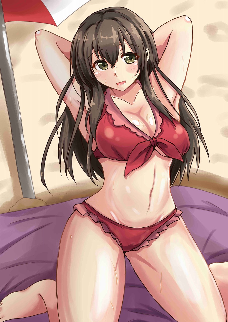 1girl, akagi_(kantai_collection), arms_behind_head, bikini, black_hair, brown_eyes, chan_(akuty_ikkot), frilled_bikini, frills, highres, kantai_collection, long_hair, swimsuit