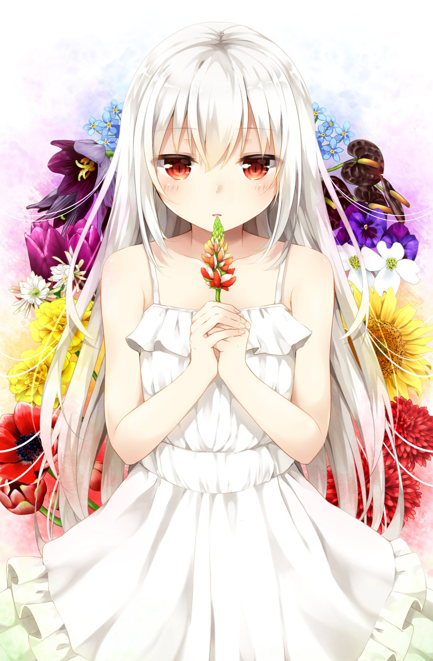 1girl, absurdres, albino, anthurium, bare_shoulders, carnation, chrysanthemum, collarbone