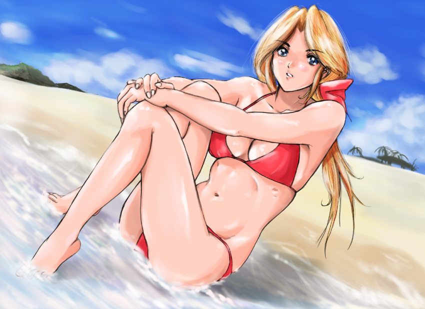 beach, bikini, dead_or_alive, funky-harem, helena_douglas, shu-z, sky, swimsuit