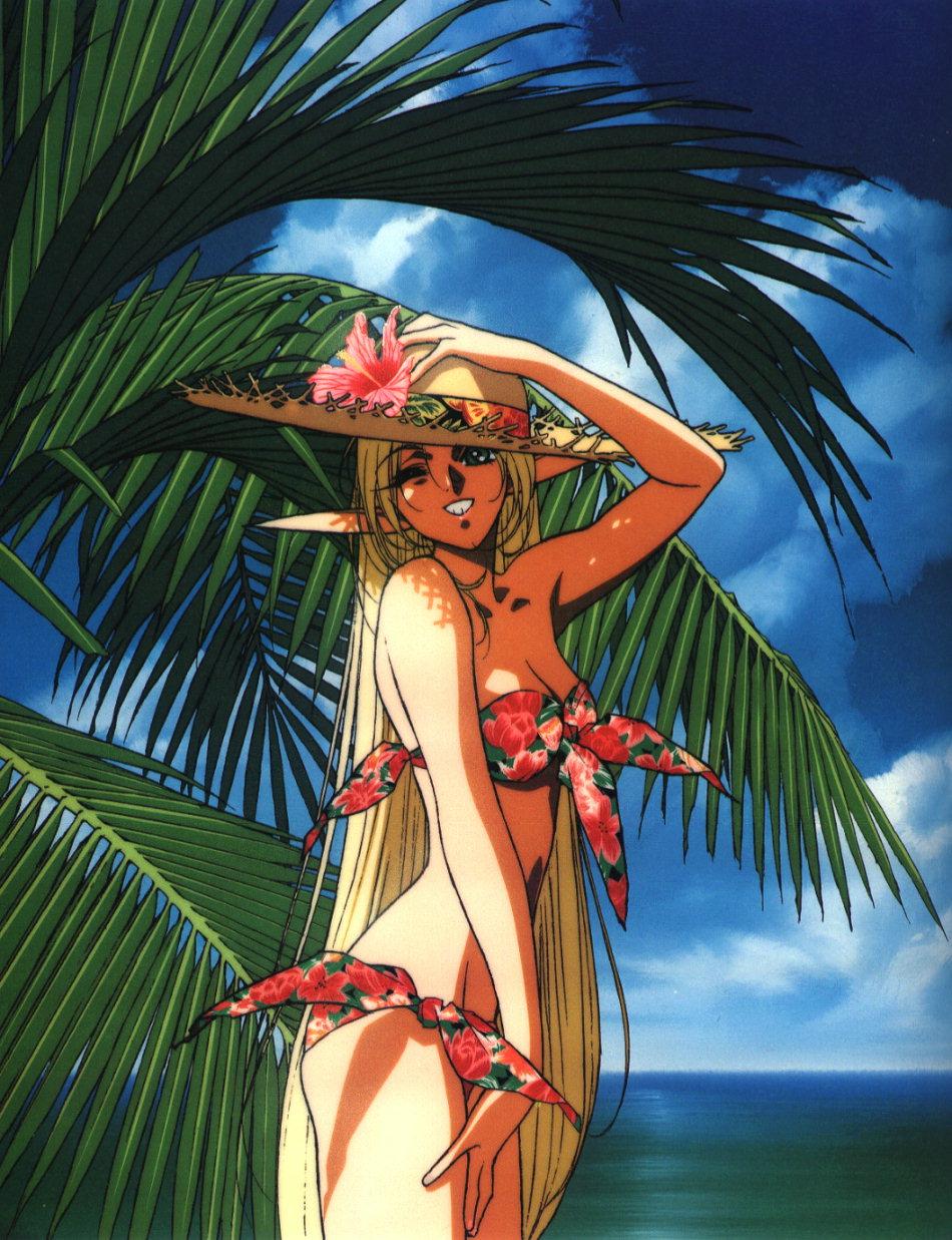 beach, bikini, blonde_hair, classic, deedlit, elf, hat, record_of_lodoss_war
