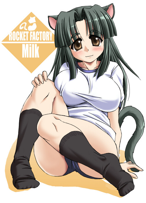 breasts, buruma, cat_ears, cat_tail, grey_hair, gym_uniform, large_breasts, milk_(tongpoo)