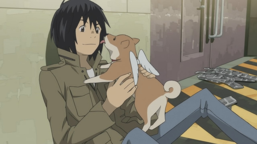 cap, dog, eden_of_the_east, male, newspaper, takizawa_akira, wings