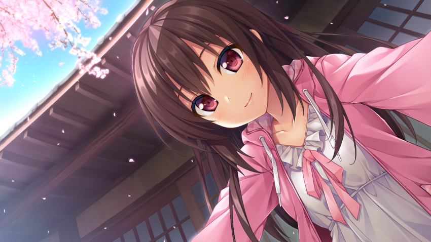 1girl, akizora_momiji, blue_sky, blush, brown_hair, building, cherry_blossoms, closed_mouth