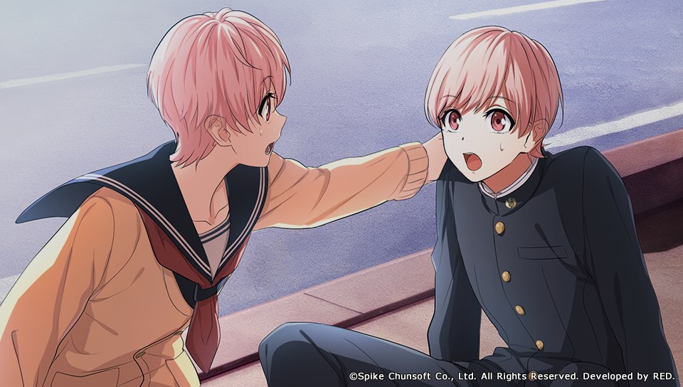 kenka_banchou_otome, kuromitsu_kinako_(artist), nakayama_hinako, onigashima_hikaru, pink_hair