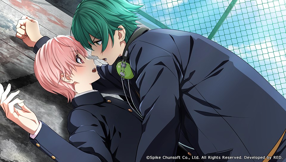 kenka_banchou_otome, konparu_takayuki, kuromitsu_kinako_(artist), nakayama_hinako, pink_hair