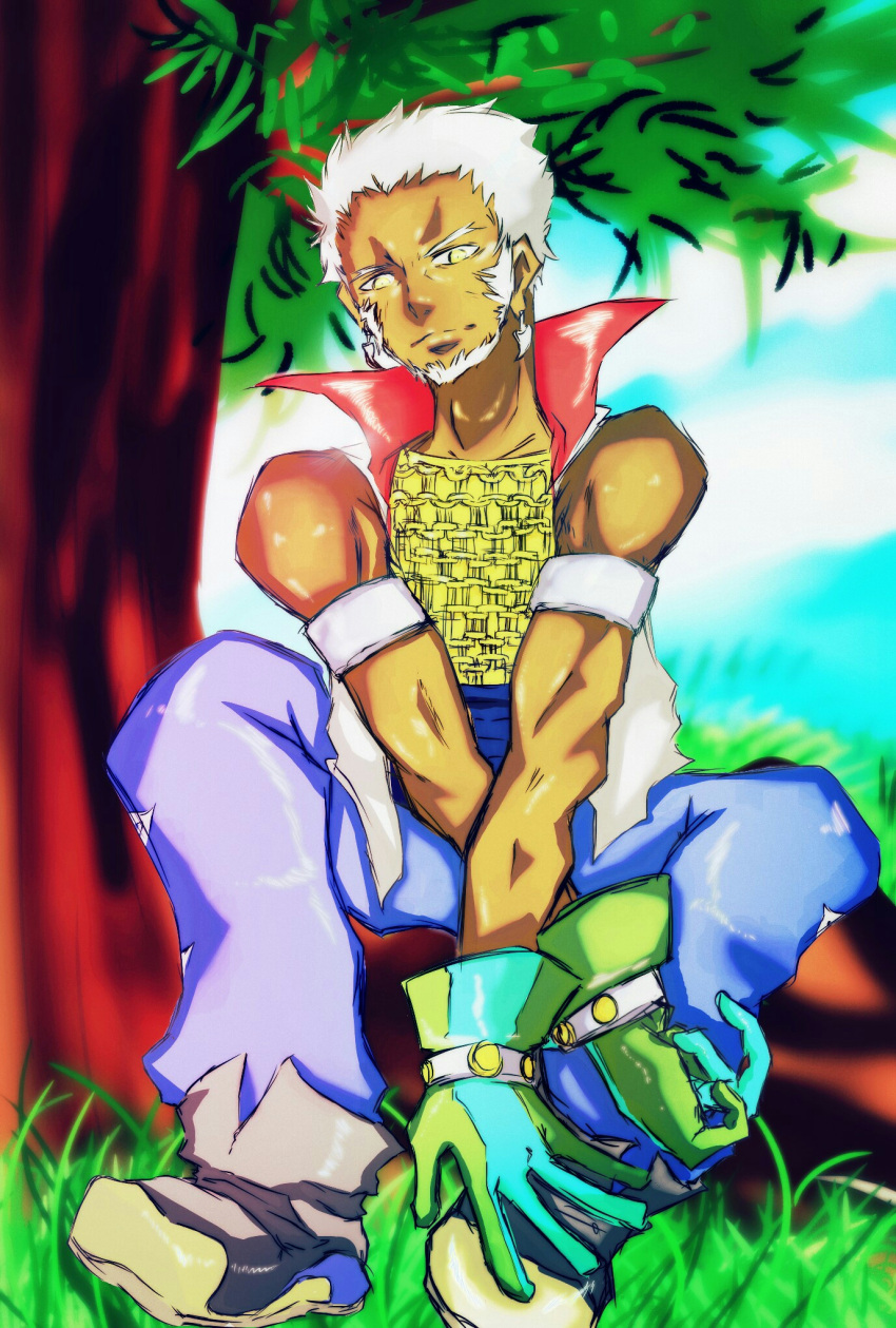 1boy, beard, burakkukaih2o, dark_skin, earrings, facial_hair, forest_ledoyen, gloves, grass, highres, jewelry, leaf, sitting, sky, solo, tales_of_(series), tales_of_the_tempest, tree, white_hair, yellow_eyes