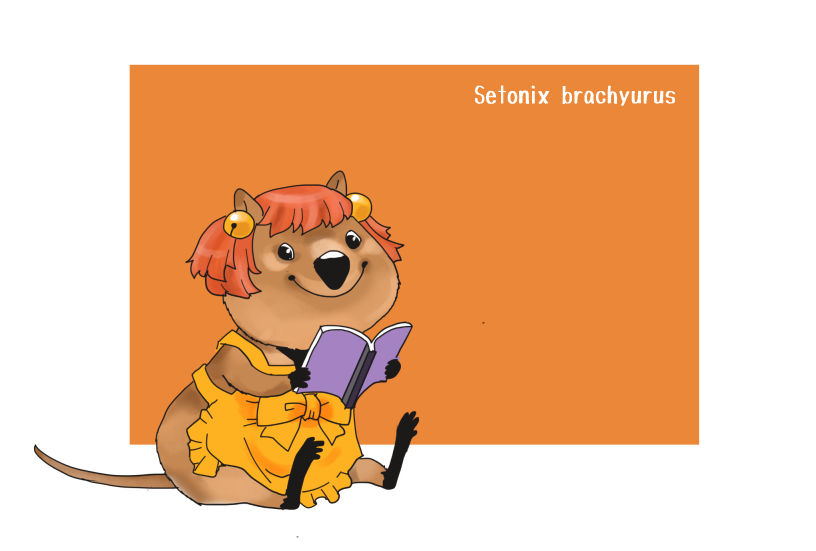 animalization, motoori_kosuzu, no_humans, onikobe_rin, quokka, rodent, solo, touhou