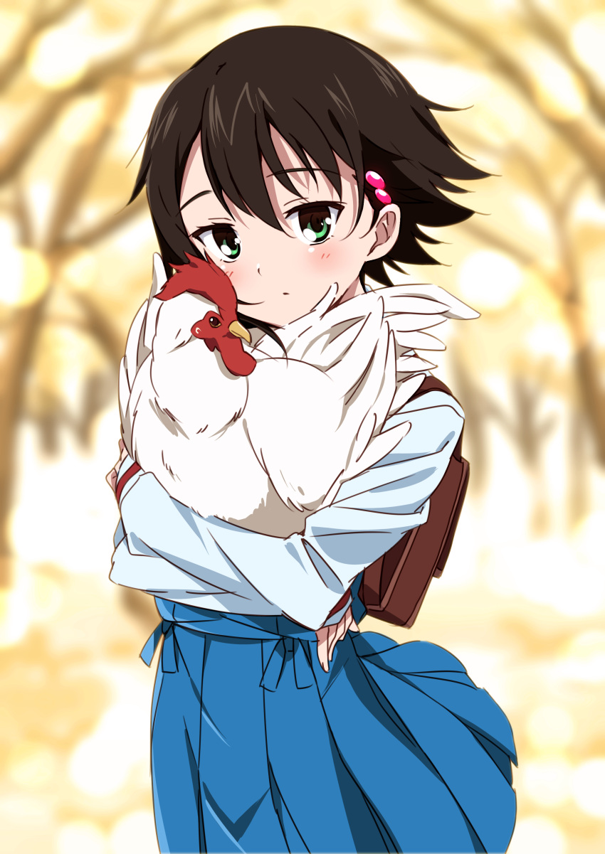 1girl, :/, absurdres, backpack, bag, bird, blue_skirt, blurry, blush, brown_hair, chicken, closed_mouth, depth_of_field, eyebrows, eyebrows_visible_through_hair, green_eyes, hair_between_eyes, hair_ornament, hairclip, head_tilt, highres, isurugi_noe, jibeta, looking_at_viewer, mousou_(mousou_temporary), outdoors, pleated_skirt, school_uniform, short_hair, sketch, skirt, sleeves_past_wrists, true_tears
