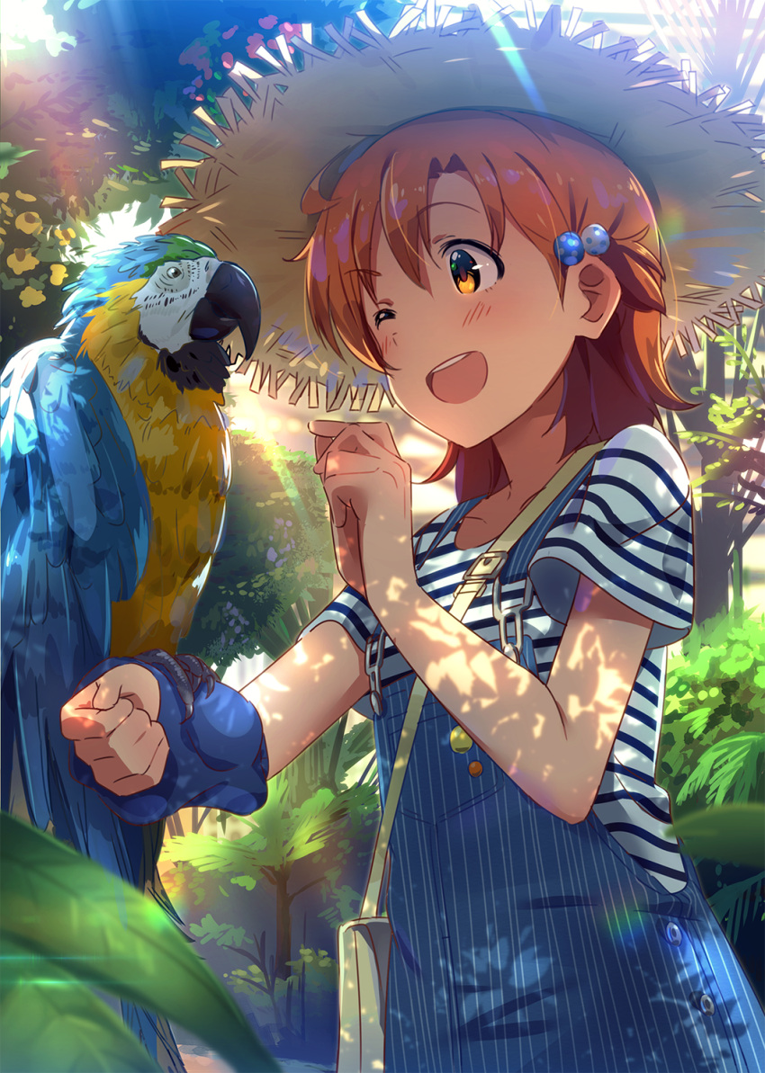 1girl, ahoge, animal, bag, bird, bird_on_arm, blue-and-yellow_macaw, blush