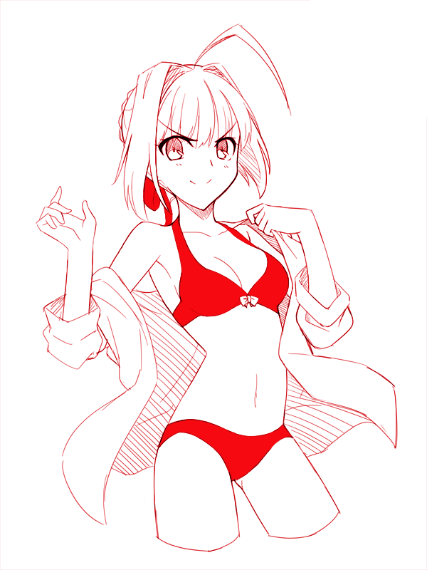 1girl, ahoge, bikini, breasts, cleavage, cropped_legs, fate/extra, fate_(series)