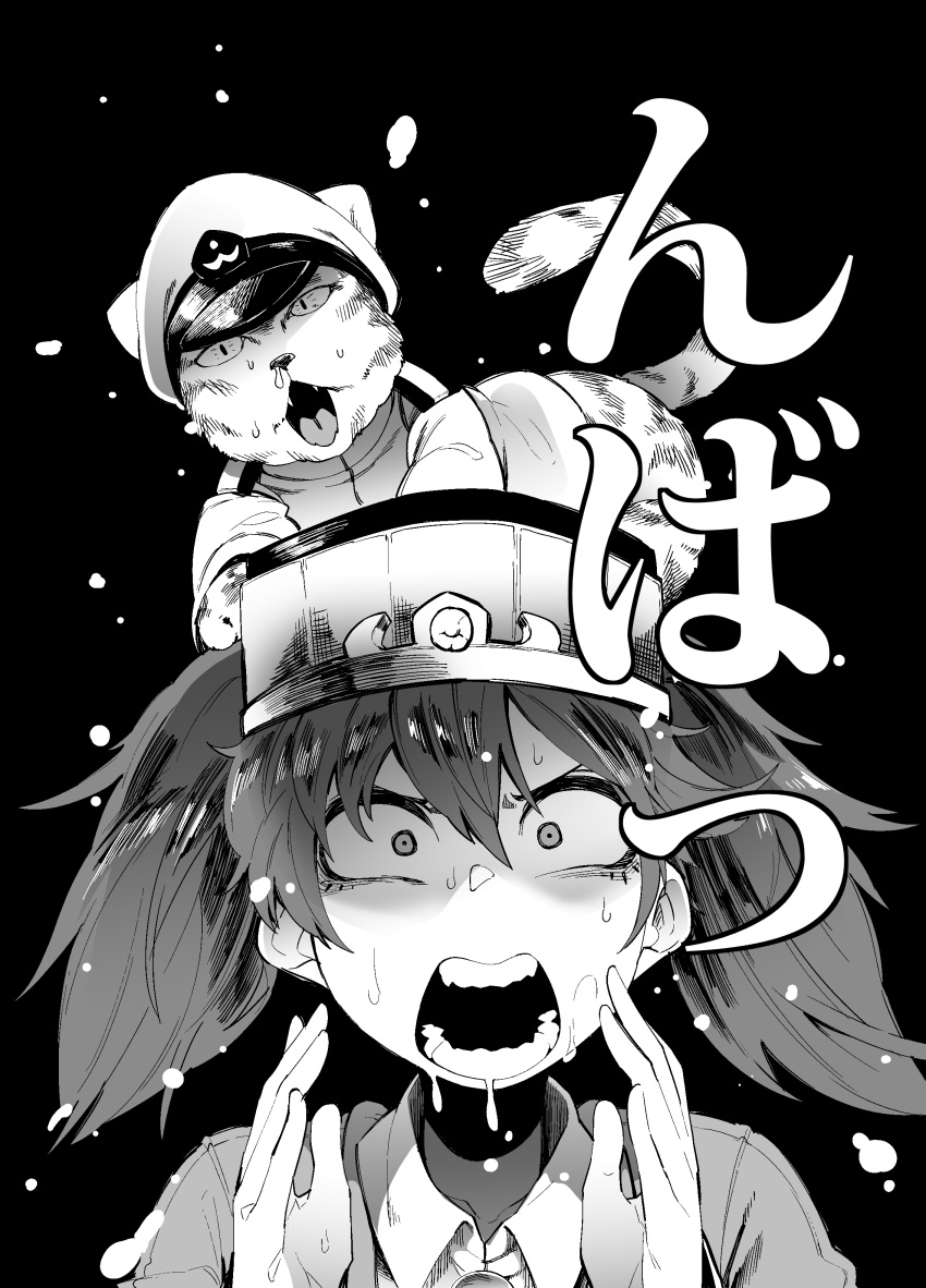 1girl, absurdres, animal, animal_on_head, cat, hat, highres, kantai_collection