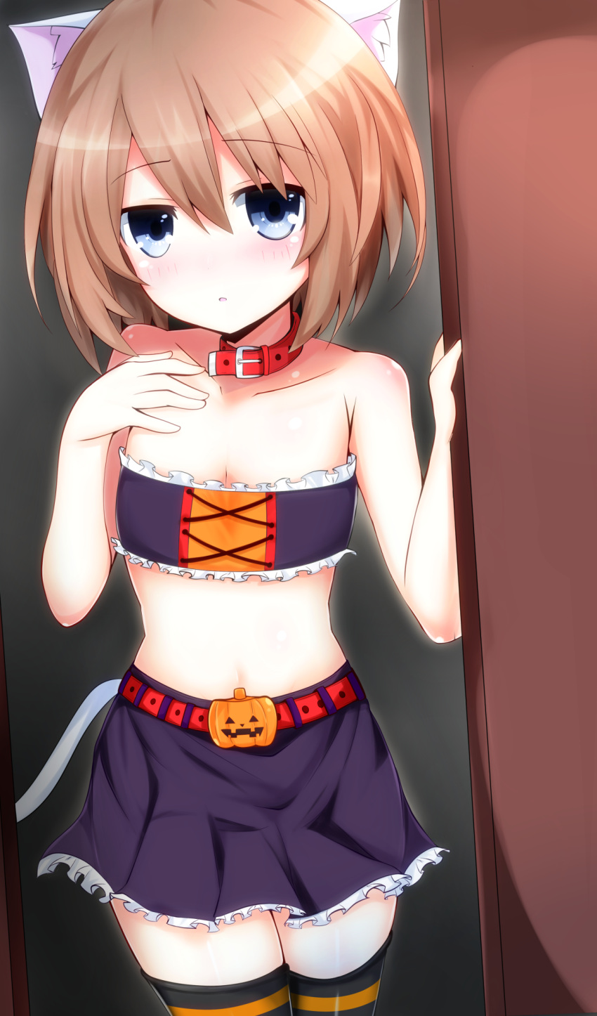 1girl, animal_ears, bare_shoulders, blanc, blue_eyes, brown_hair, cat_ears, collar
