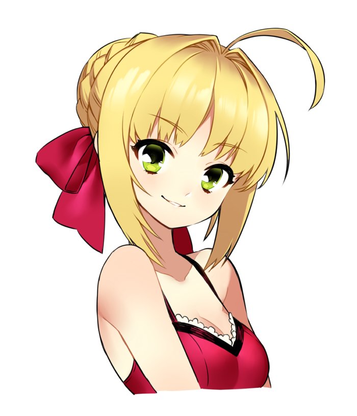 1girl, ahoge, blonde_hair, braid, eyebrows, eyebrows_visible_through_hair, fate/extra, fate_(series)