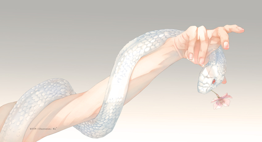 1boy, albino, animal, flower, gradient, gradient_background, male_focus, original
