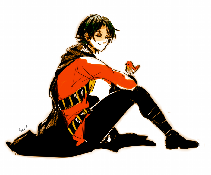 1boy, bandoliers, batman_(series), belt, bird, black_hair, boots, cape