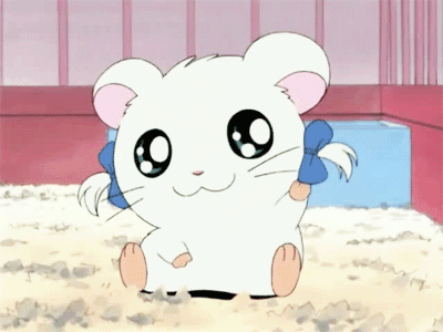 :3, animated, animated_gif, bijou, hamster, hamtaro, ribbon, source_request