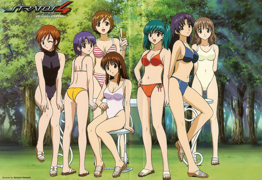 00s, 6+girls, ass, bare_legs, barefoot, bikini, breasts, cleavage, covered_navel, doi_shizuha, everyone, feet, female, grass, highres, honjo_mikaze, kikuhara_karin, kisaragi_sayaka, long_hair, looking_at_viewer, looking_back, mikuriya_ran, mukai_touko, multiple_girls, nakamura_ayamo, navel, one-piece_swimsuit, one_eye_closed, scan, short_hair, sitting, smile, standing, stratos_4, swimsuit, twintails, wink, yamauchi_noriyasu