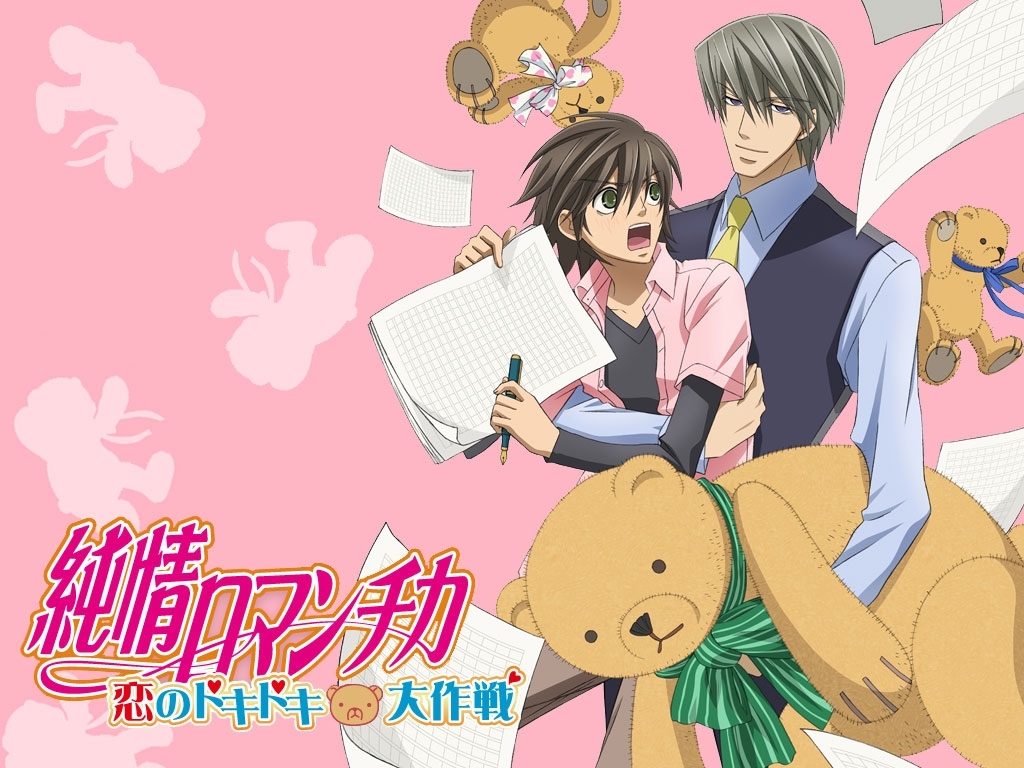blush, brown_hair, couple, green_eyes, grey_hair, hug, junjou_romantica, ribbon