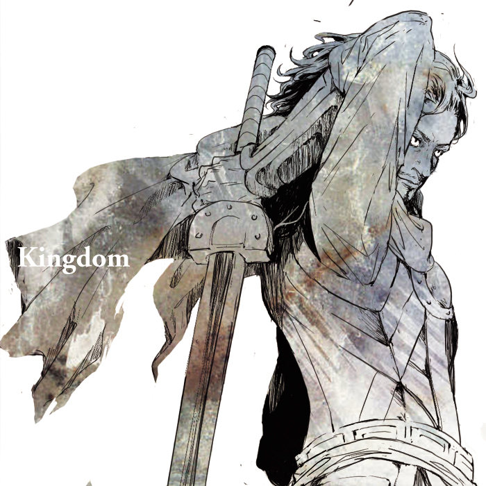 1boy, armor, beard, cape, facial_hair, kingdom, limited_palette, long_hair