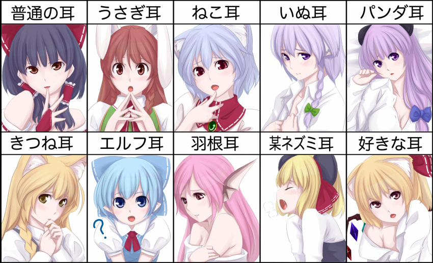 bunny_ears, cat_ears, chart, cirno, dog_ears, ear_chart, expressions, flandre_scarlet