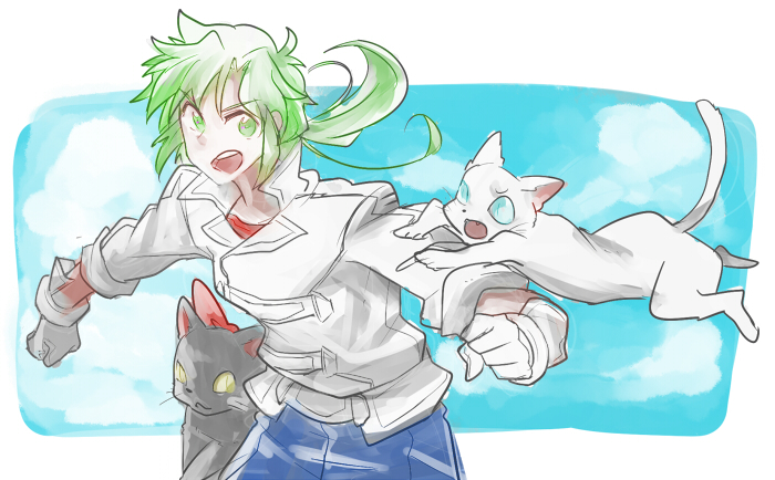 >:d, 1boy, :d, akimoto_(akimomomoto), black_fur, cat, gloves, green_eyes