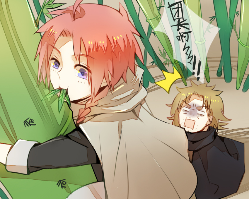13knight, abuto, ahoge, bamboo, blue_eyes, braid, cape, chinese_clothes