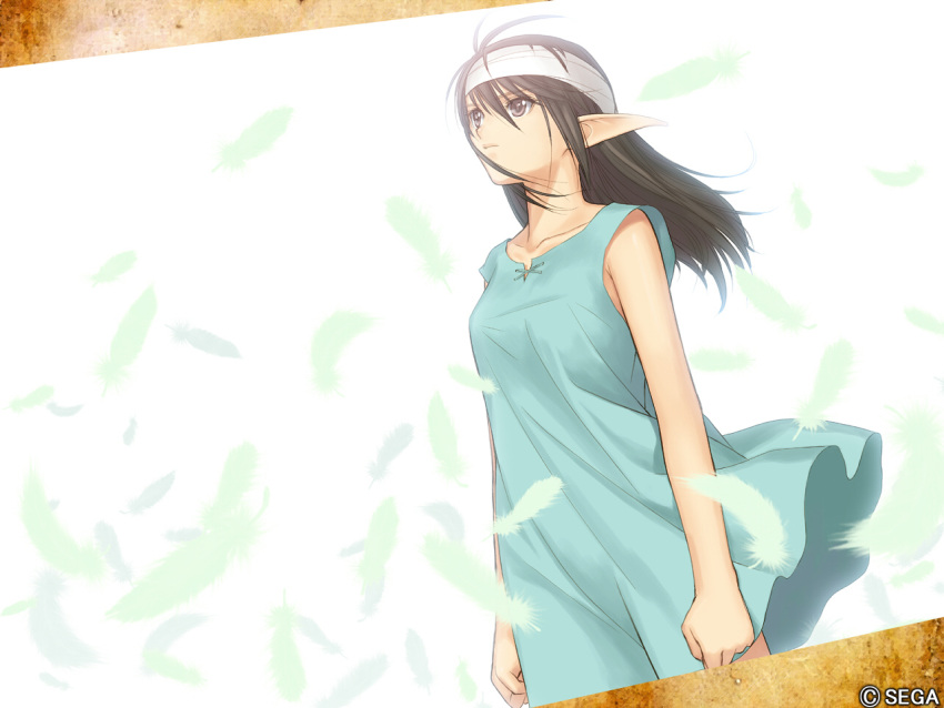 shining_wind, tagme, xecty