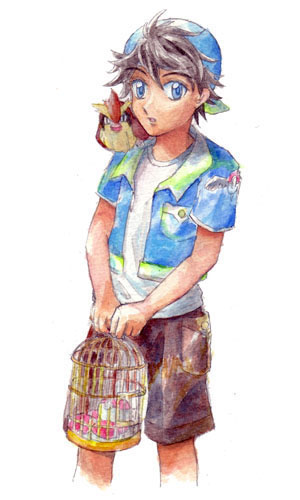 1boy, blue_eyes, brown_hair, cage, hat, no._017, pidgey, poke_ball
