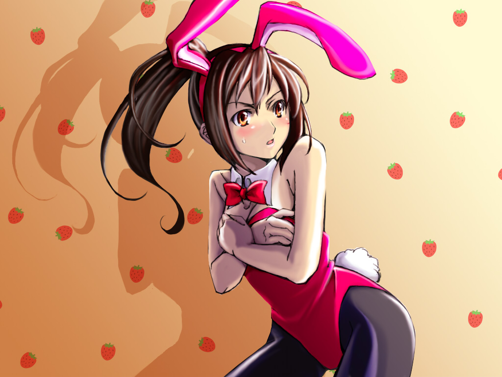 brown_eyes, brown_hair, bunny_ears, bunnysuit, genderswap, kyonko, long_hair, pantyhose