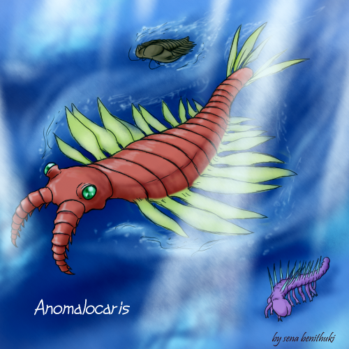 animal, anomalocaris, artist_request, character_name, hallucigenia, prehistoric_animal, trilobite, underwater