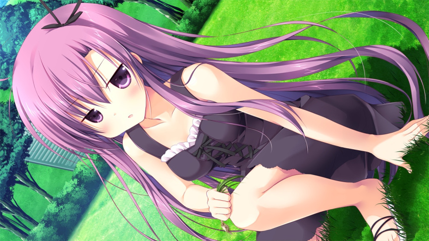1girl, black_dress, black_ribbon, dress, fuyutsuki_shigure, game_cg, grass, hair_ribbon