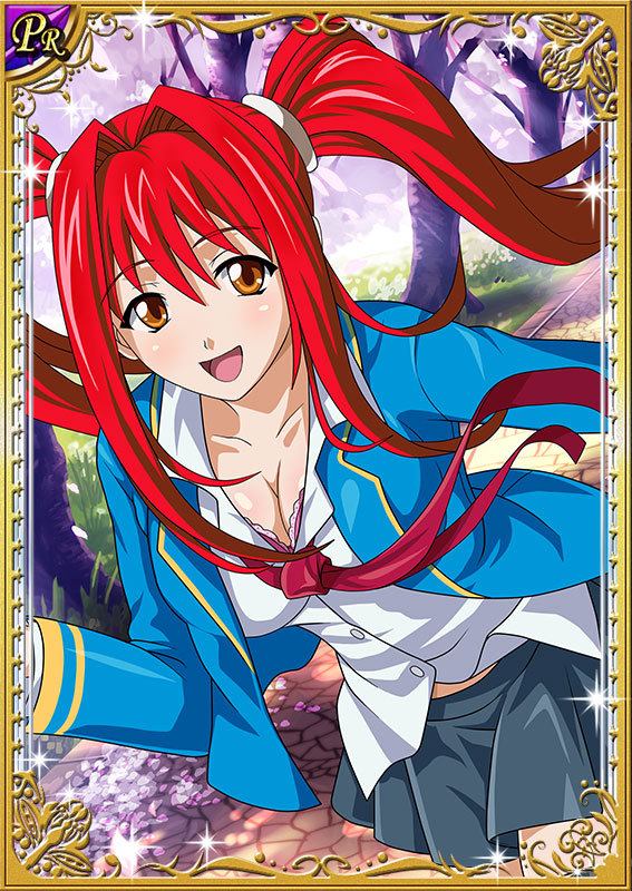 00s, 1girl, breasts, card_(medium), female, hair_ornament, ikkitousen, kanpei