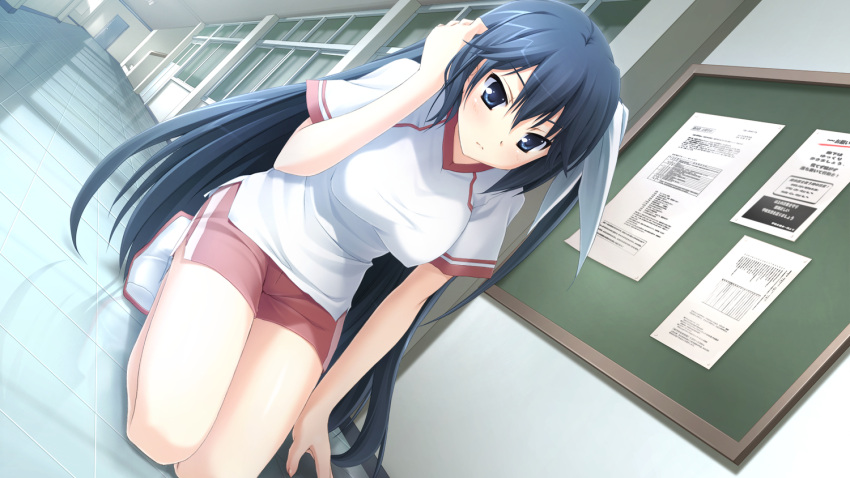 1girl, black_hair, blue_eyes, female, game_cg, gym_uniform, highres, ikegami_akane