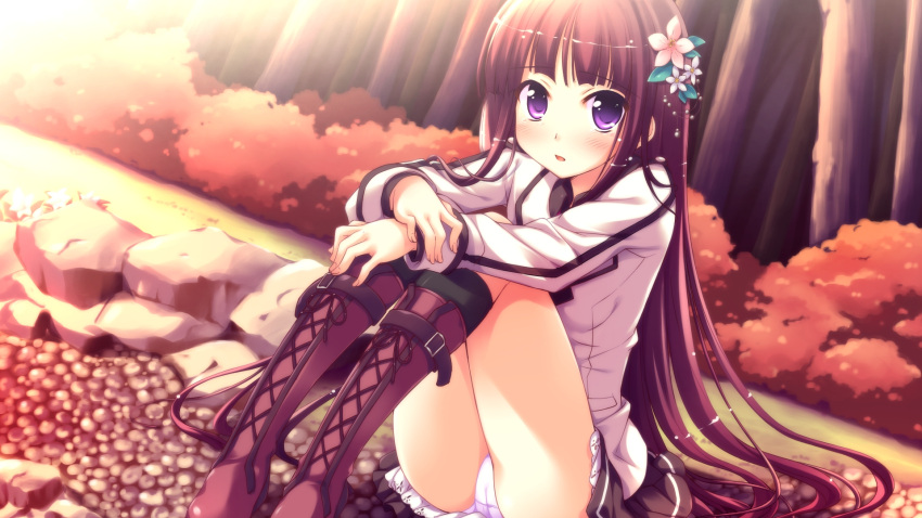 1girl, boots, flower, highres, iro_ni_ide_ni_keri_waga_koi_wa, ko~cha, panties, purple_hair