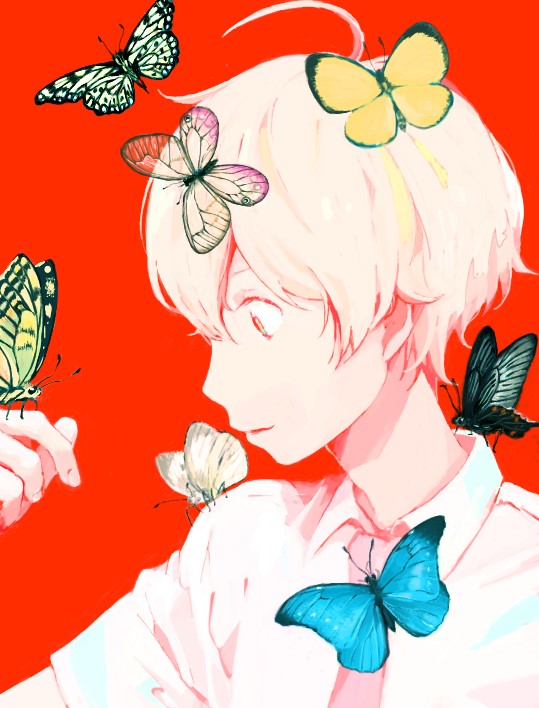 1boy, ahoge, bandoutan, blonde_hair, butterfly, child, haru_(tsuritama), male_focus