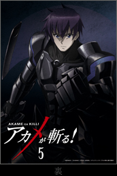 1boy, akame_ga_kill!, armor, black_hair, blue_eyes, official_art, wave_(akame_ga_kill!)