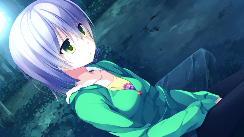 1girl, black_legwear, closed_mouth, collarbone, emotionless, female, forest, game_cg